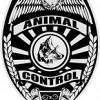 Animal Control avatar image